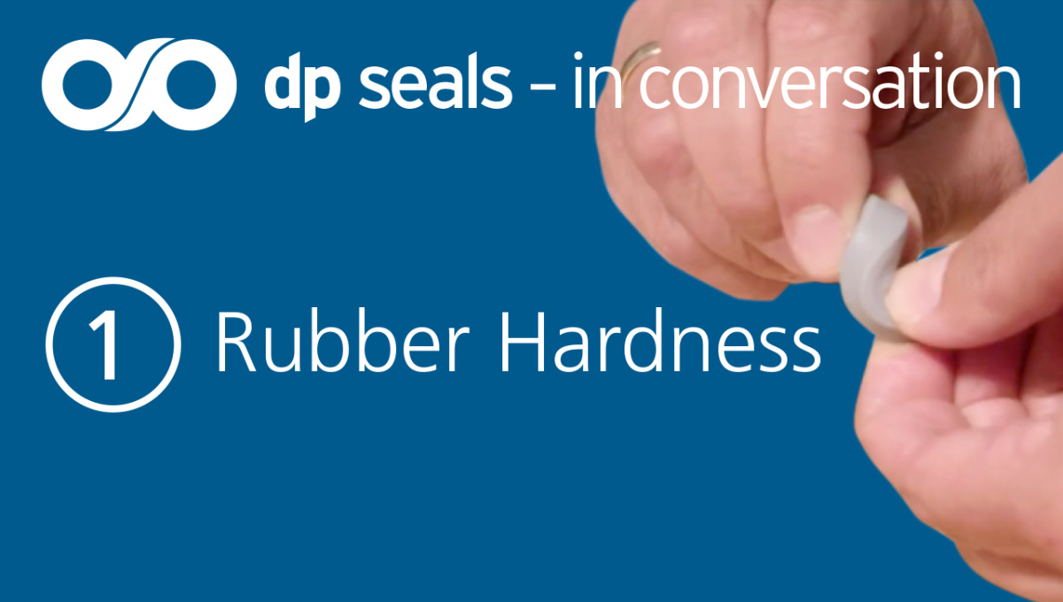 Dp Seals: In conversation video series