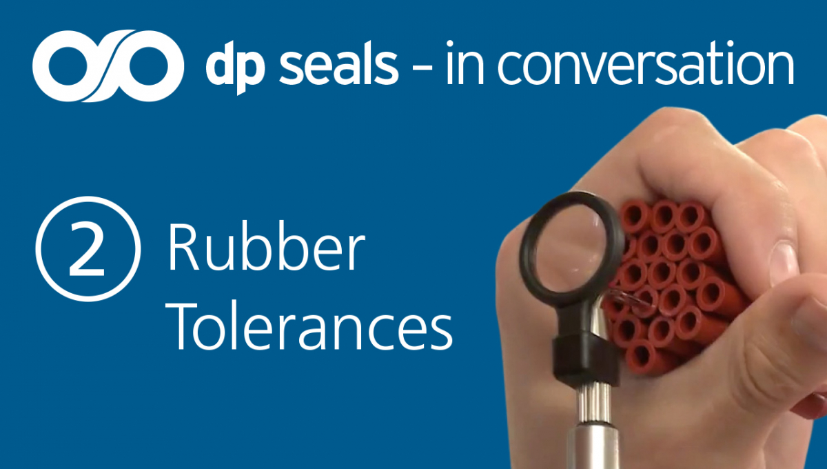 Dp Seals: In conversation video series