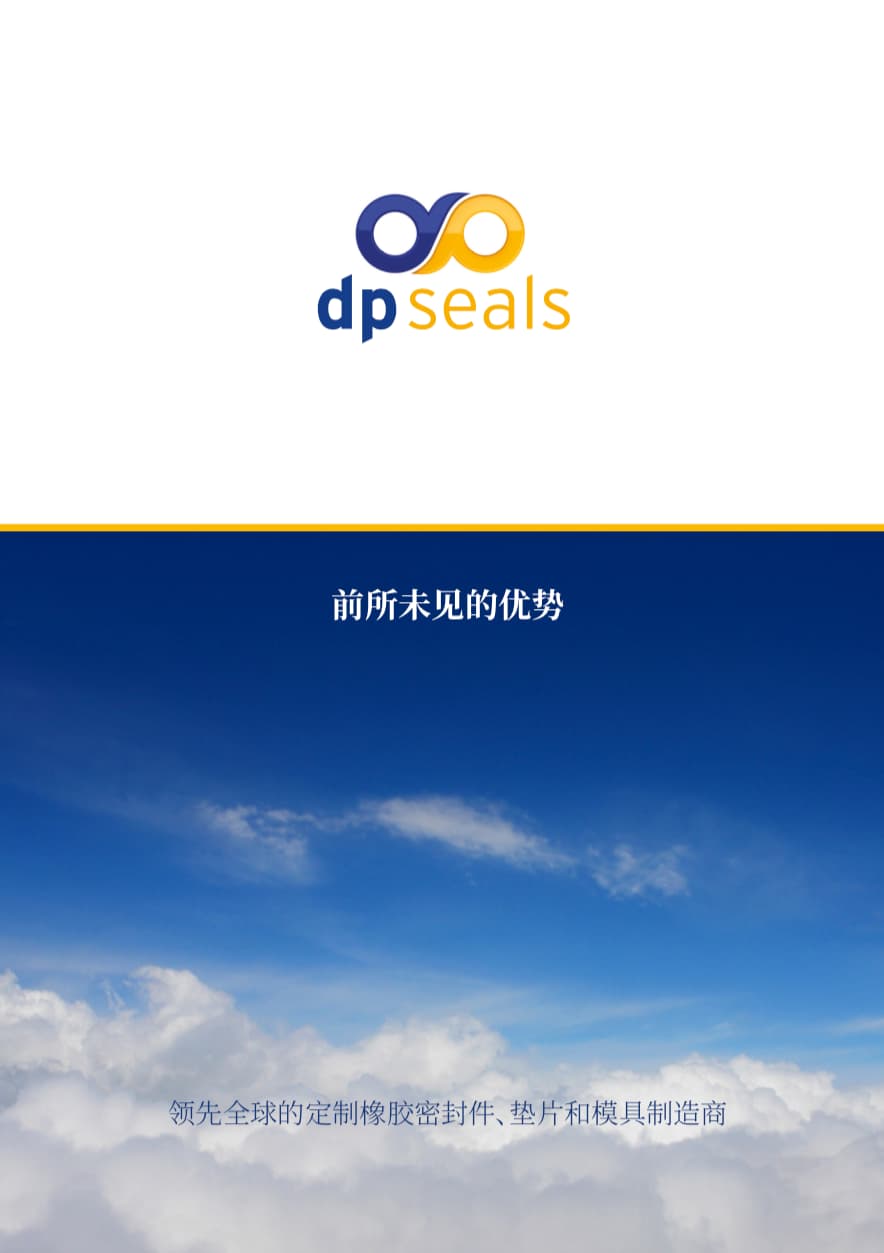 DP Seals General Brochure Chinese Language Version Cover